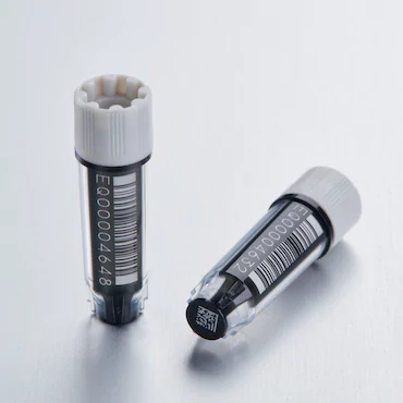 艾本德Eppendorf CryoStorage Vial，無菌, 無菌, 0.5 mL, 不含 DNase、RNase、人類 DNA 和內(nèi)毒素；外螺紋，預(yù)先加蓋灰色管蓋，帶 2D SafeCode 